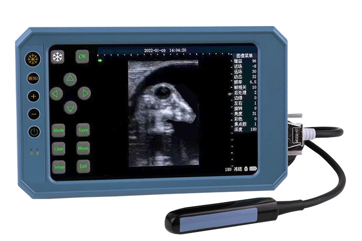 Escáner ultrasónico portátil tipo B BU403T con pantalla sensible al tacto y sonda lineal rectal de 6,5 MHz para uso veterinario